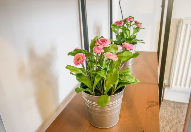 Apartment in Lowestoft - Lake View Apartments 1 Apartment in Lowestoft - Lake View Apartments 1