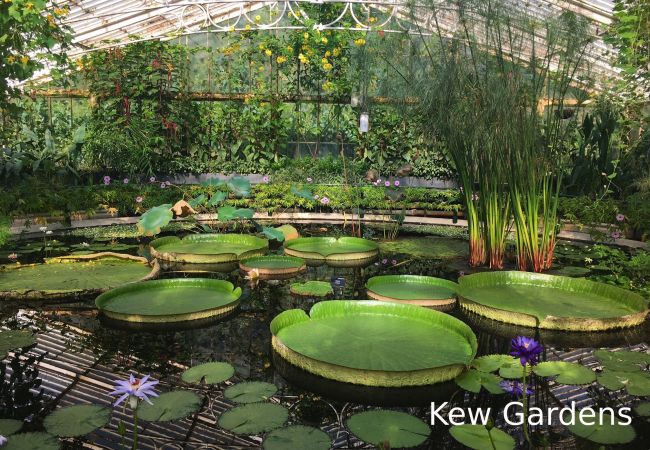 House in London - Hart House House in London - Hart House