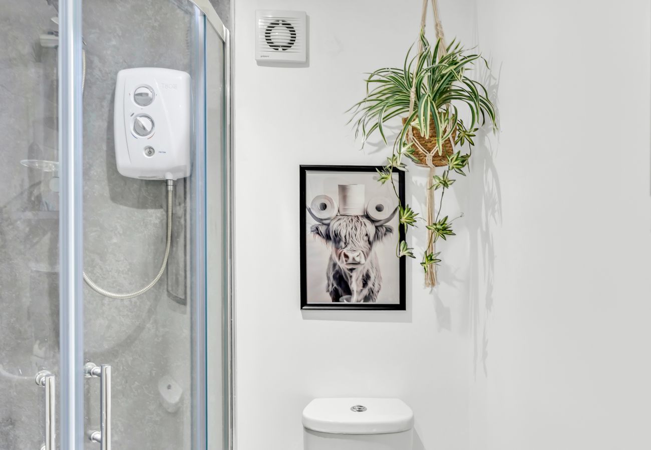 Apartment in Weston-Super-Mare - Weston Super Mare